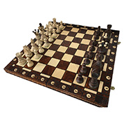 Chess Ambasador 1